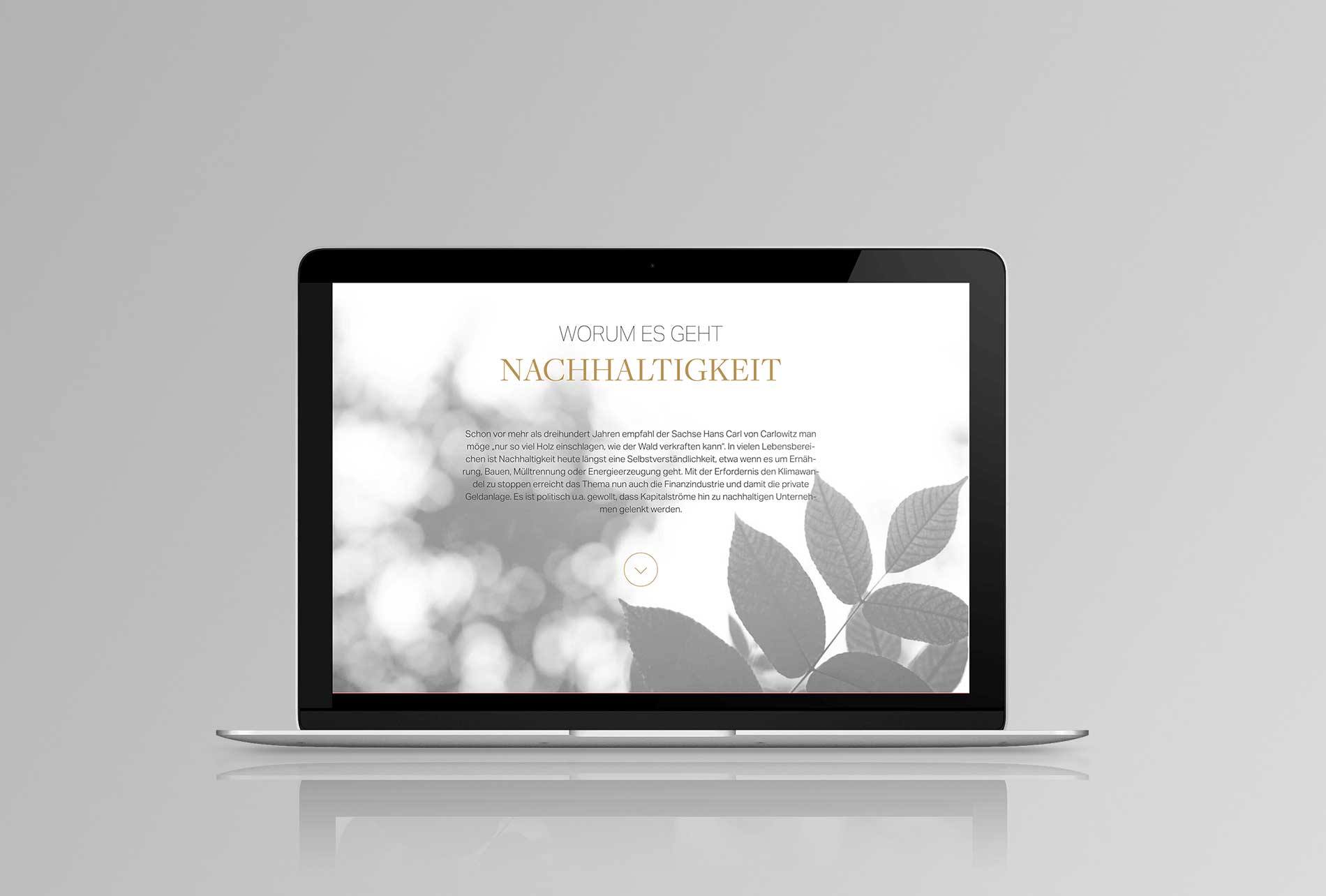 Laptop open showing the website of Steinbeis & Häcker Vermögensverwaltung GmbH
